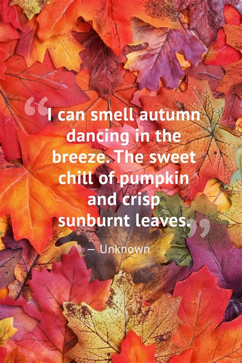 autumn fall sayings|short phrases for fall.